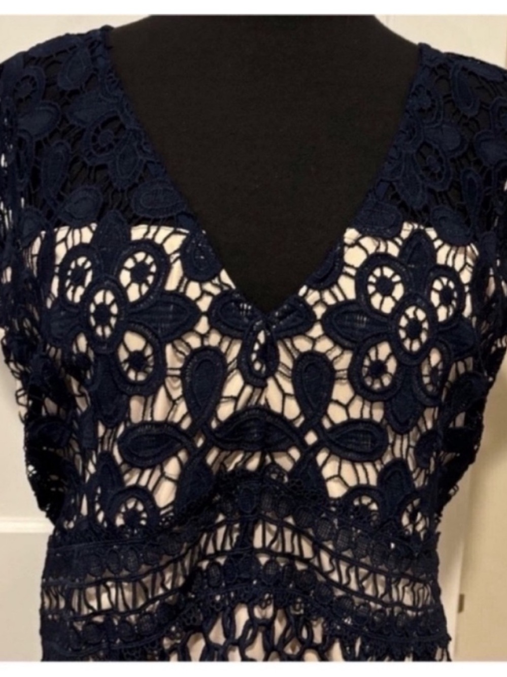 Soieblu NEW Navy Lace Dress Nude Underlay Knee Length Fit N Flare Womens 1X - Picture 5 of 13